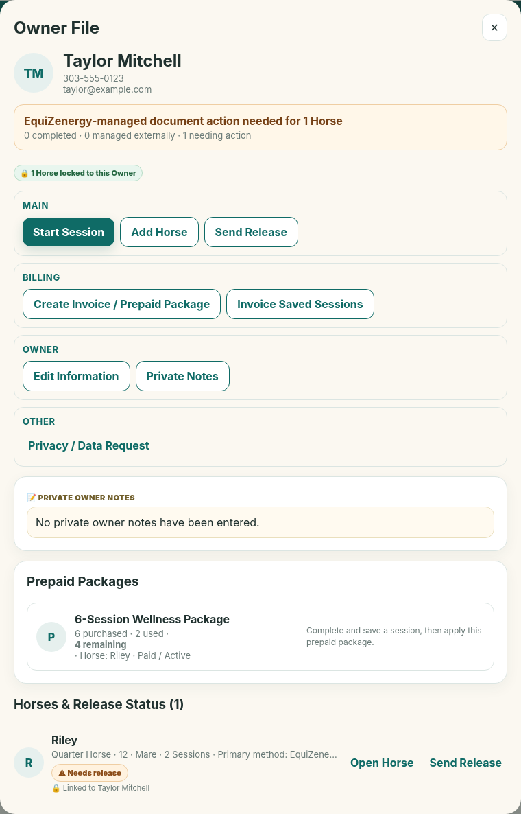 Actual EquiZenergy Owner File showing a six-session prepaid package with two used and four remaining