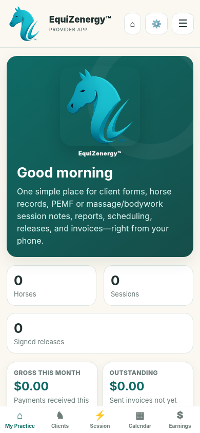 Actual EquiZenergy mobile dashboard